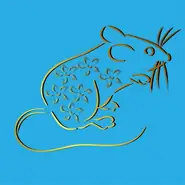 十二生肖性格优缺点全解析：属相特征大盘点