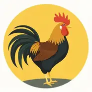 属鸡的跟什么属相最配对相克