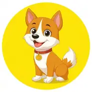 82年狗五行缺什么8几年是金命：1982年属狗五行缺什么