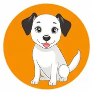 属狗的出生年月与年龄对照表，属狗的年龄表一览表