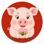 属猪的最佳婚配对象是什么属相，属猪人最佳婚配属相