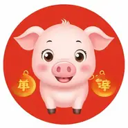 属猪的人2025年的幸运色：属猪的人幸运色