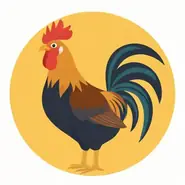 属鸡和什么属相最配相克相冲的人，属鸡和什么属相相冲相克