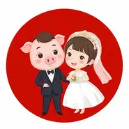 属猪跟属猪的婚姻配不配11：猪同猪结婚好不好