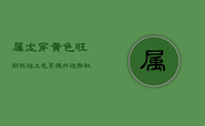 属龙穿黄色旺财旺运，土色系提升运势秘籍