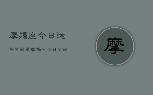 摩羯座今日运势紫薇星，摩羯座今日紫薇运程
