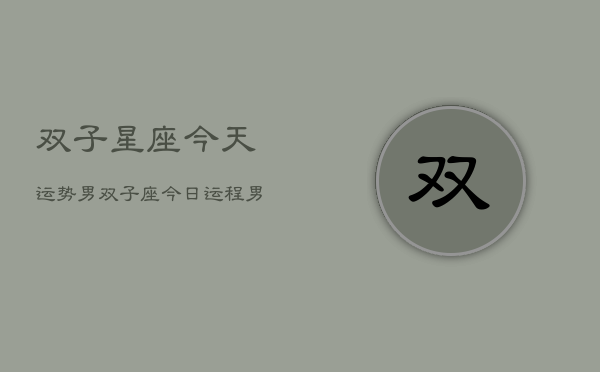 双子星座今天运势男，双子座今日运程男性  第1张