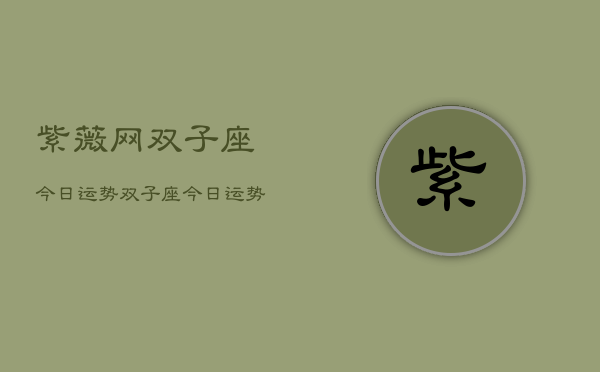 紫薇网双子座今日运势，双子座今日运势  第1张