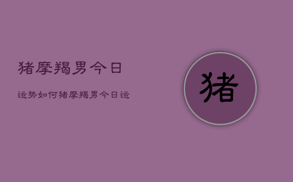 猪摩羯男今日运势如何，猪摩羯男今日运程  第1张