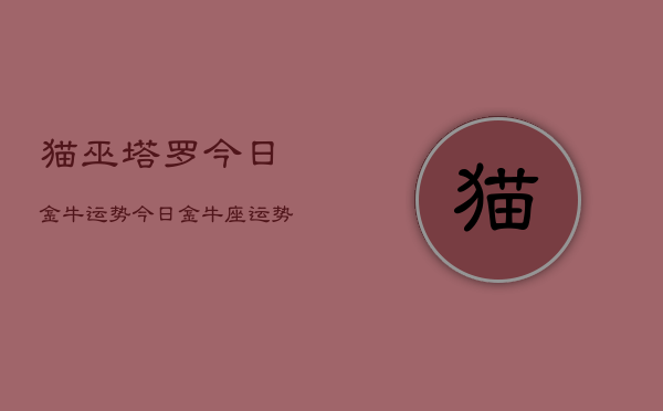 猫巫塔罗今日金牛运势，今日金牛座运势  第1张