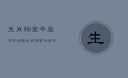 生肖狗金牛座今日运势，生肖狗金牛座今日运势详解