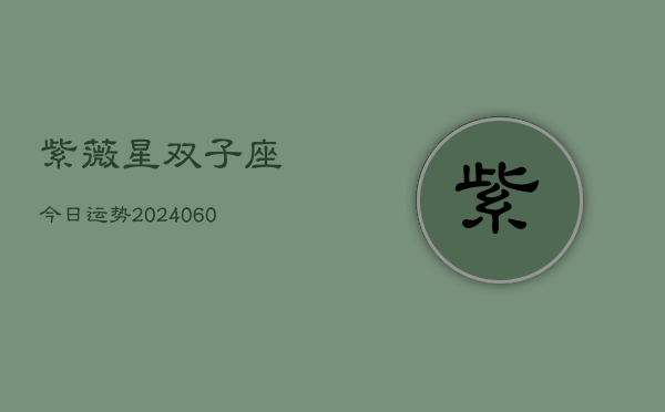 紫薇星双子座今日运势(20240609)  第1张