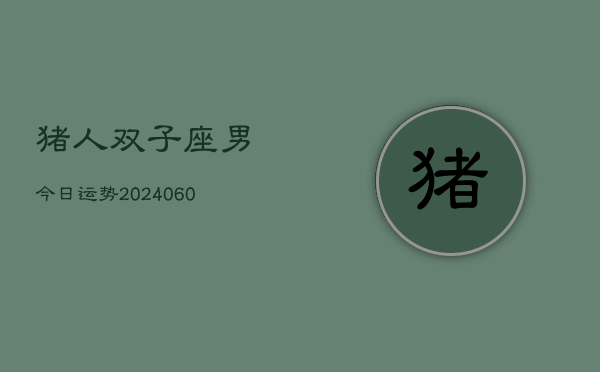 猪人双子座男今日运势(20240609)