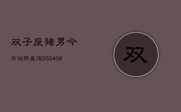 双子座猪男今日运势查询(20240613)  第1张