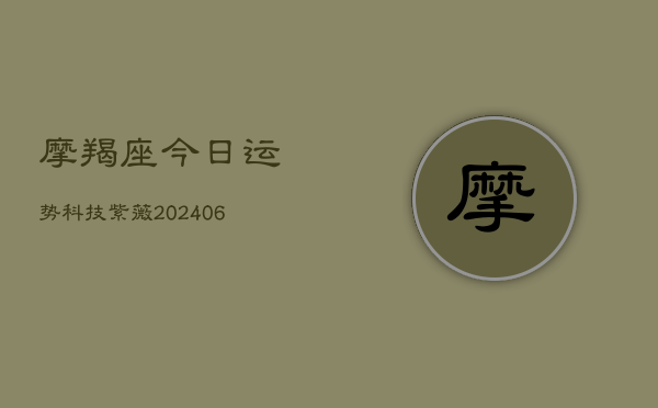 摩羯座今日运势科技紫薇(20240615)  第1张