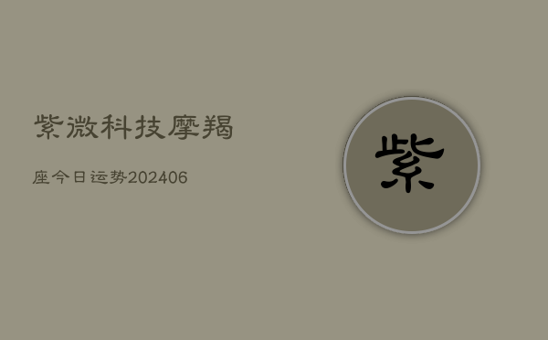 紫微科技摩羯座今日运势(20240615)  第1张