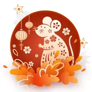 2025生肖年运全解析：每月运势详解与开运指南