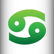 水墨先生每日运势查询：2月9日星座吉凶全解析