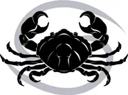 星座运势每日查询指南：2025年2月9日精准解读