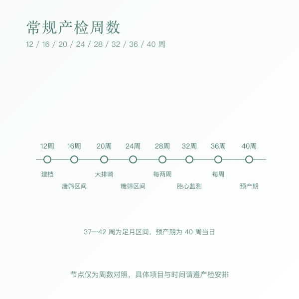 40 周常规产检节点时间轴:12、16、20、24、28、30、32、34、36、37、38、39、40 周